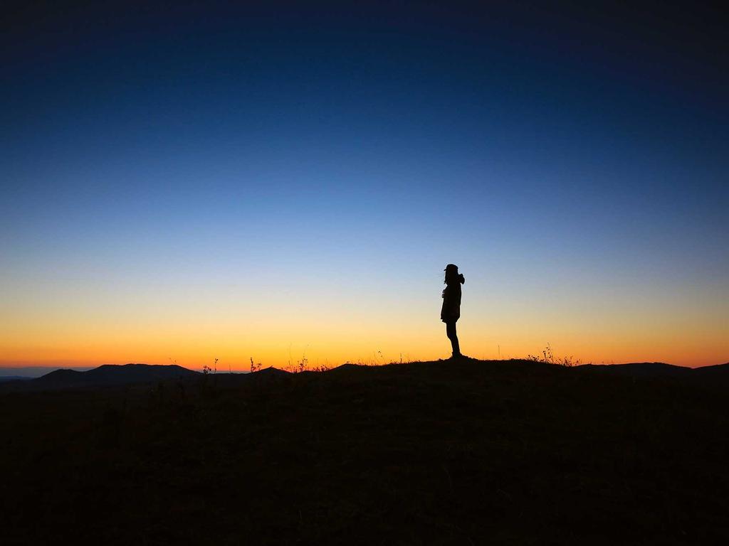 Manager excuse generator